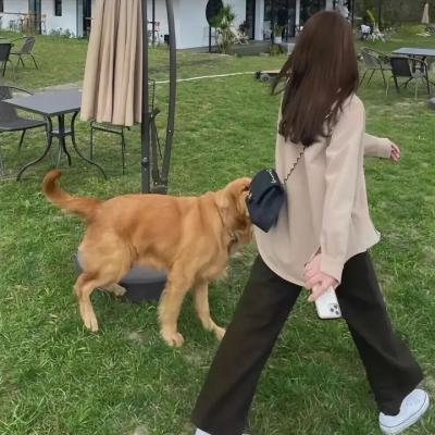 直美与加奈子